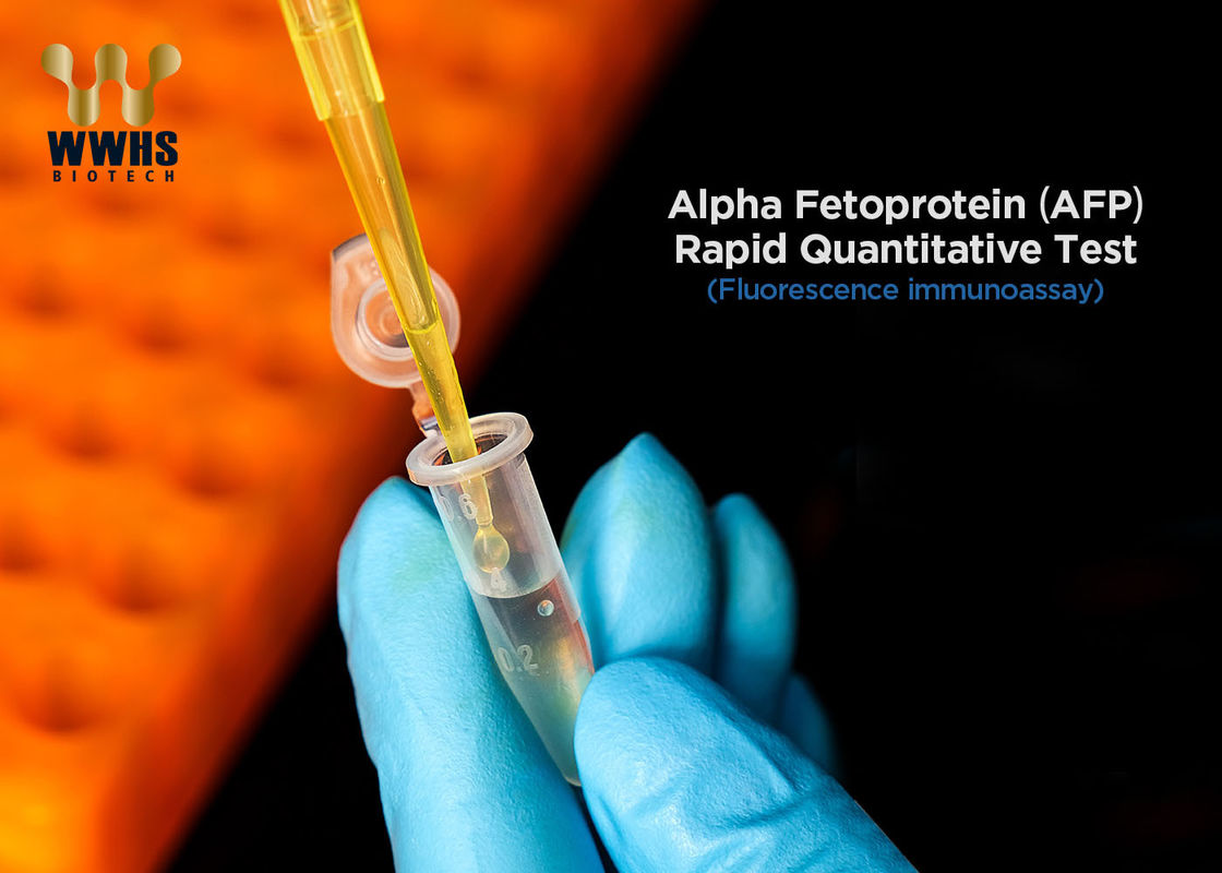 Tumor-Hersteller-Test-Ausrüstungen Alpha Fetoprotein Rapid Quantitatives AFP