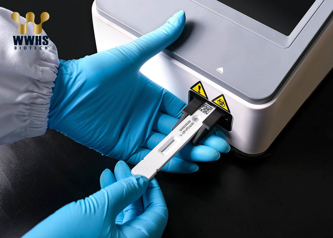 Test-Kit IFA Colloidal Golds POCT CK19 CYFRA21-1 IVD schnelle Diagnosereagens-Kassette